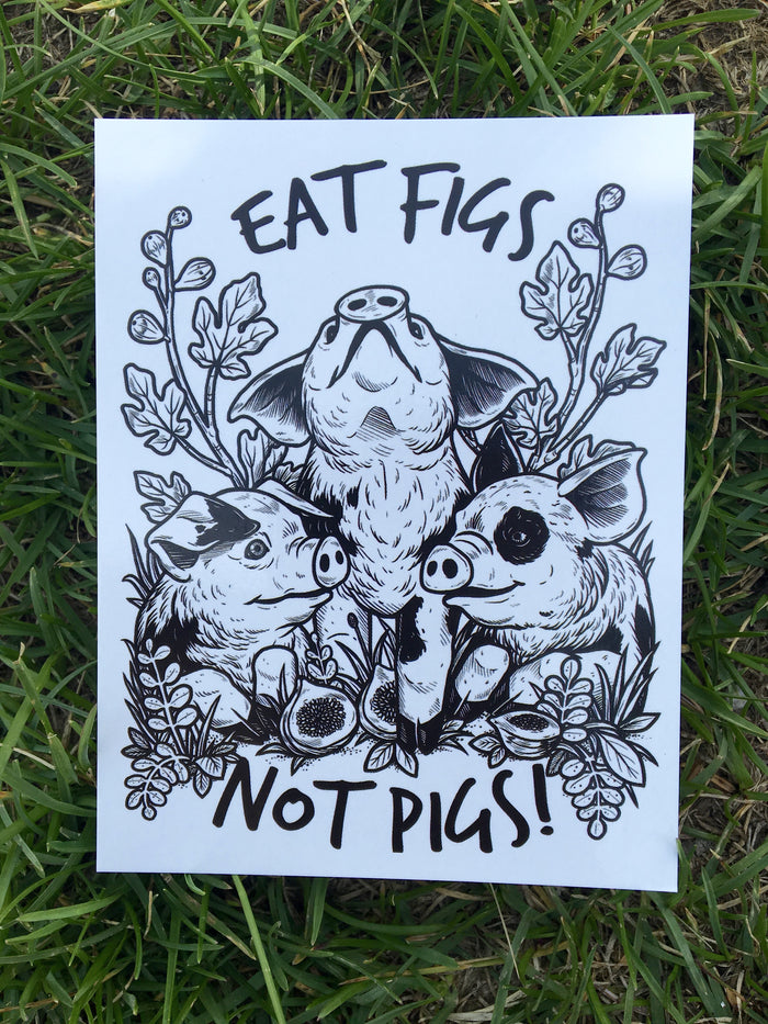 100% Recycled Eat Figs Not Pigs Postcard