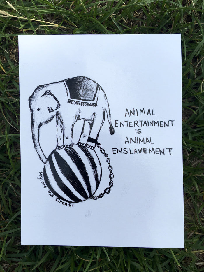 100% Recycled Animal Entertainment Is Animal Enslavement Postcard