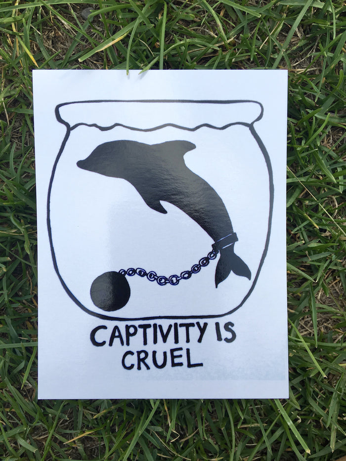 100% Recycled Captivity Is Cruel Postcard